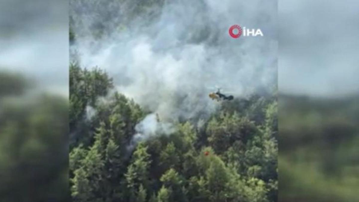 Adana Kozan'da orman yangını: Havadan ve karadan müdahale ediliyor