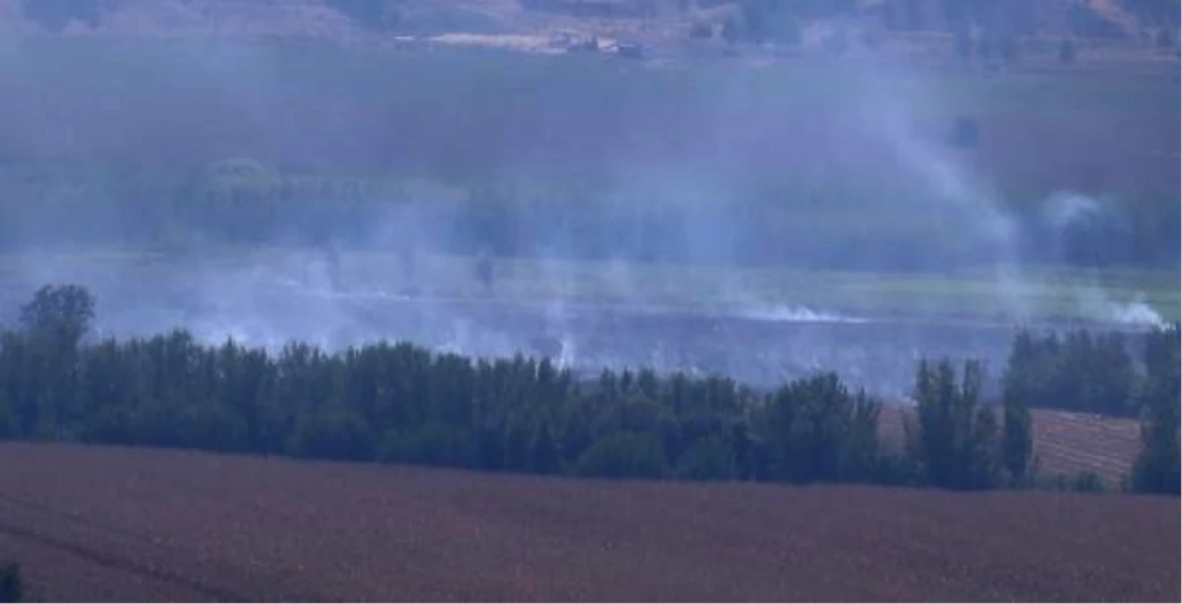 Diyarbakır'da Hevsel Bahçeleri'nde Anız Yangını