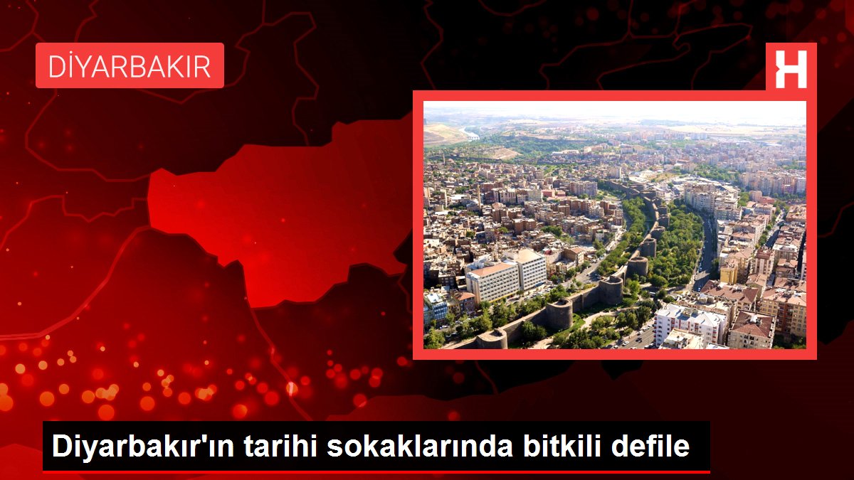 Diyarbakır'ın tarihi sokaklarında bitkili defile