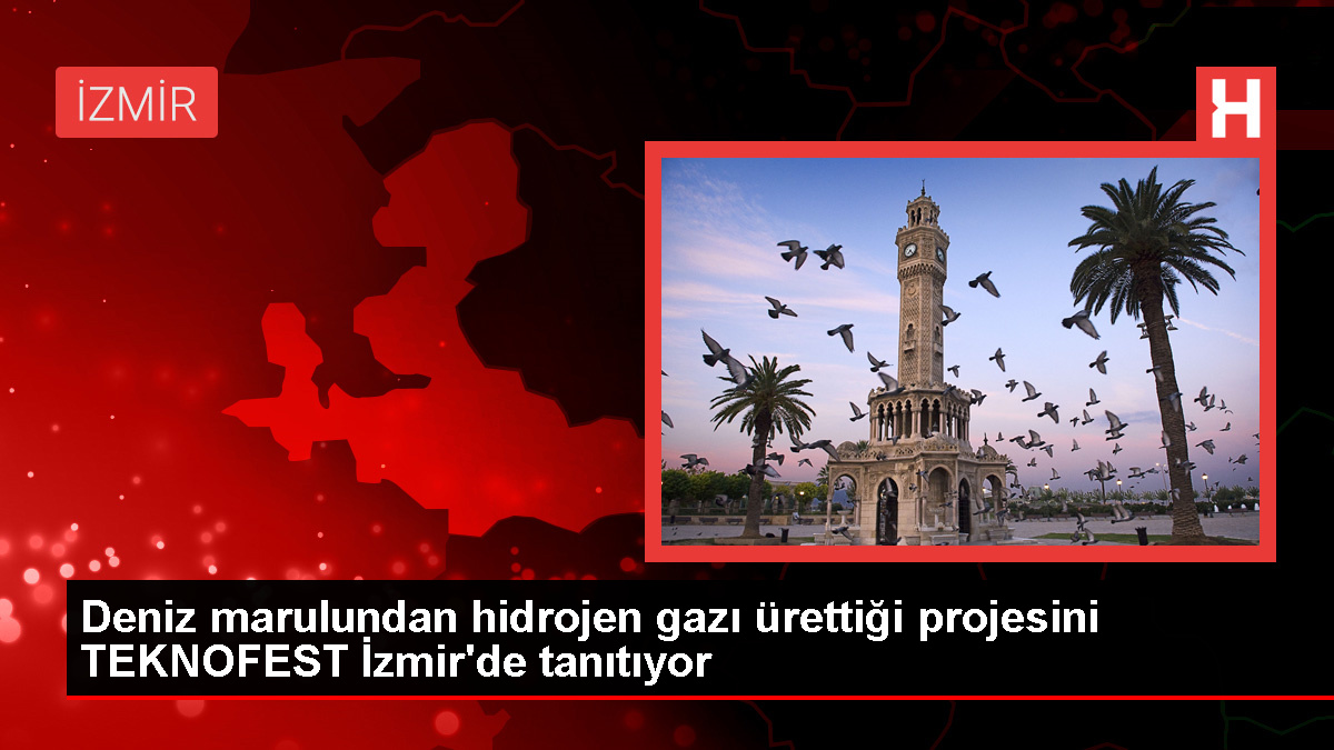 İzmir'de Deniz Marulundan Hidrojen Gazı Üreten Öğrenci TEKNOFEST'te