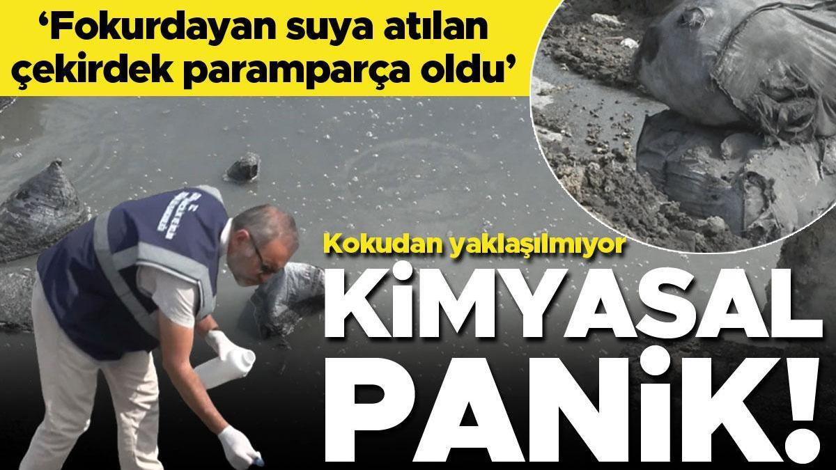 Kimyasal panik! 'Fokurdayan suya atılan çekirdek paramparça oldu'