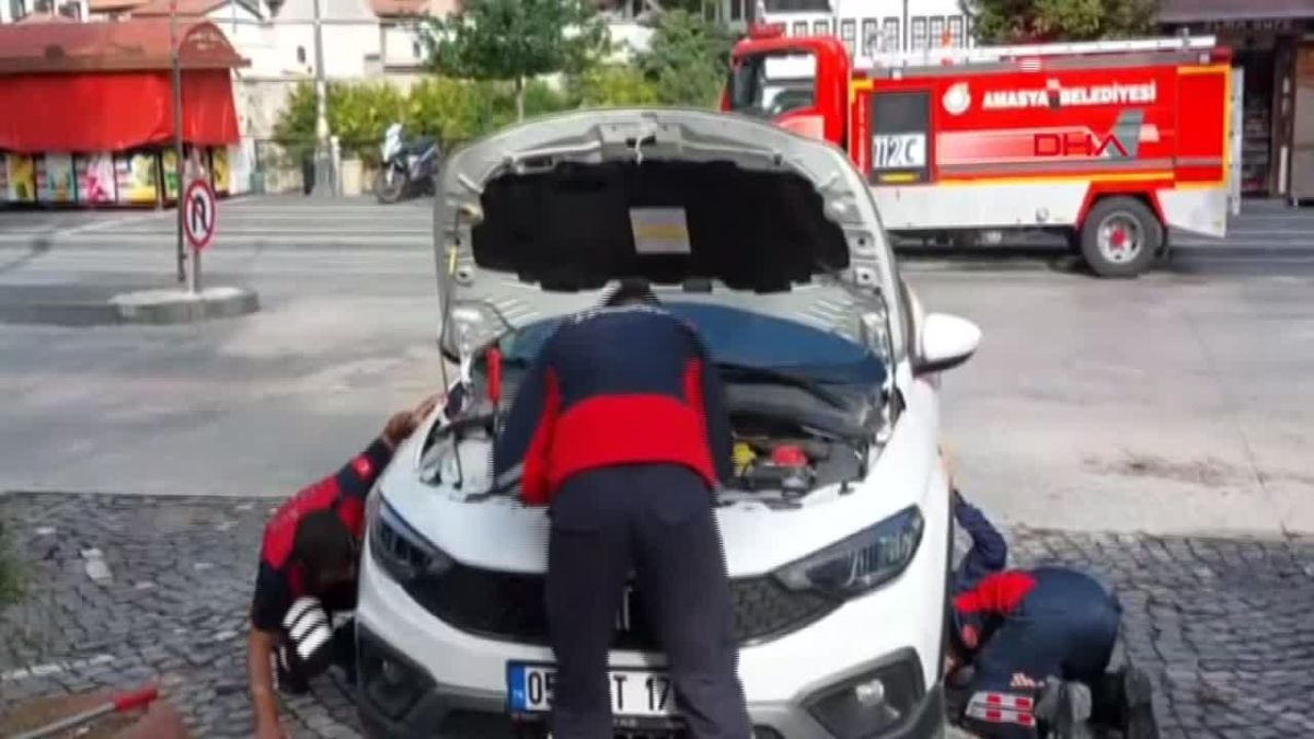 Amasya'da Otomobilin Motor Kısmına Sıkışan Yavru Kediler Kurtarıldı