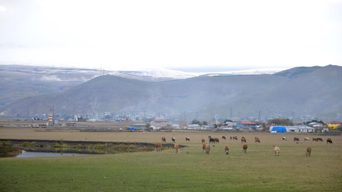 Ardahan’ın yüksekleri beyaza büründü