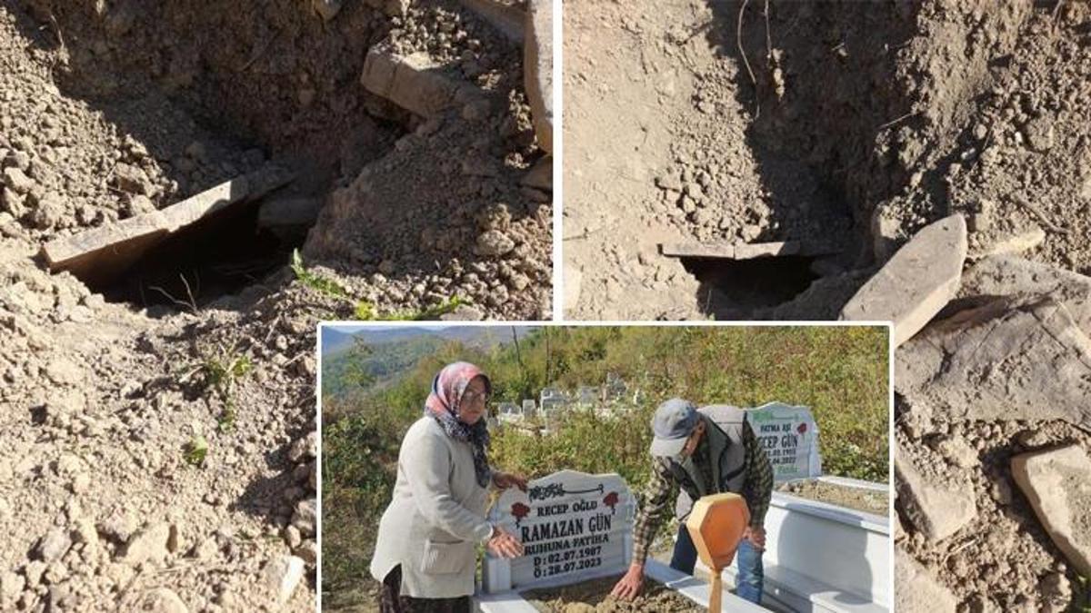 Bartın'da mezarlıkta ayı paniği... 'Mezarın açıldığını görünce orada yığıldım'