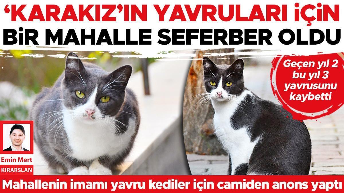 ‘Karakız’ın yavruları için bir mahalle seferber oldu