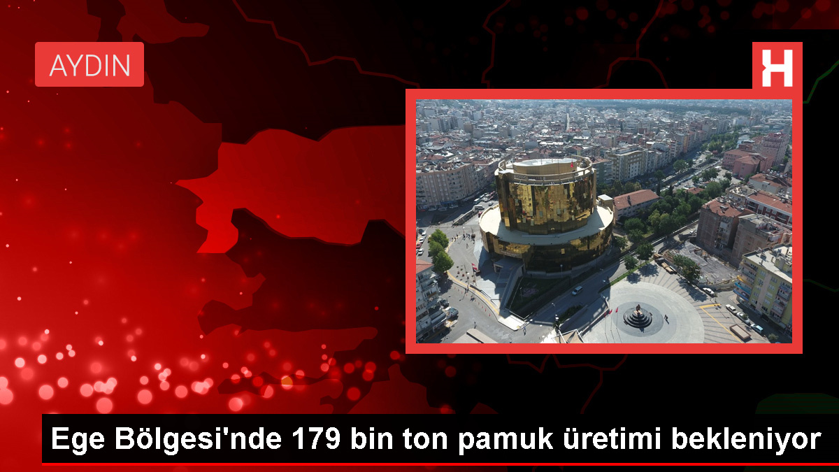 Ege Bölgesi'nde 2023-2024 Sezonunda 179 Bin Ton Pamuk Üretimi Bekleniyor