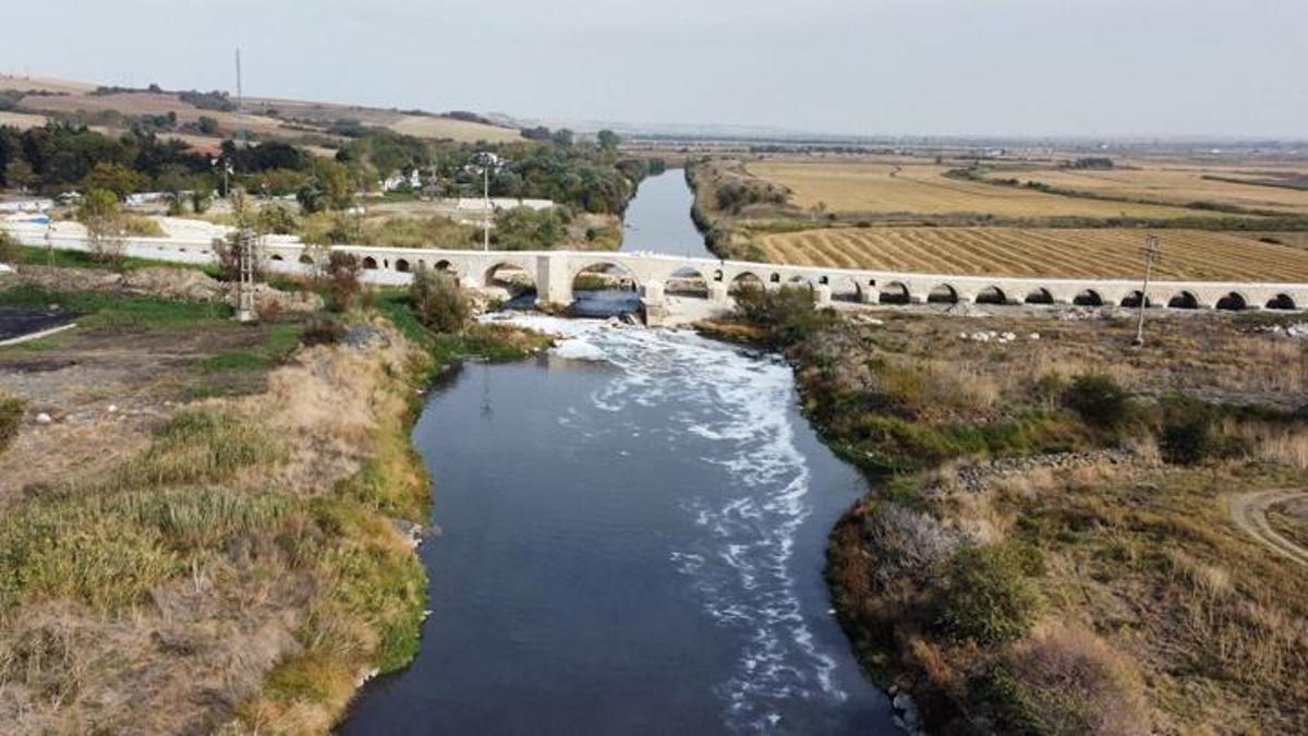 Ergene Nehri'nde inceleme: Suyu 4. derece kirli çıktı