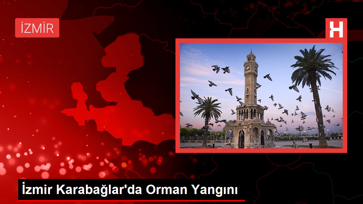 İzmir Karabağlar'da Orman Yangını