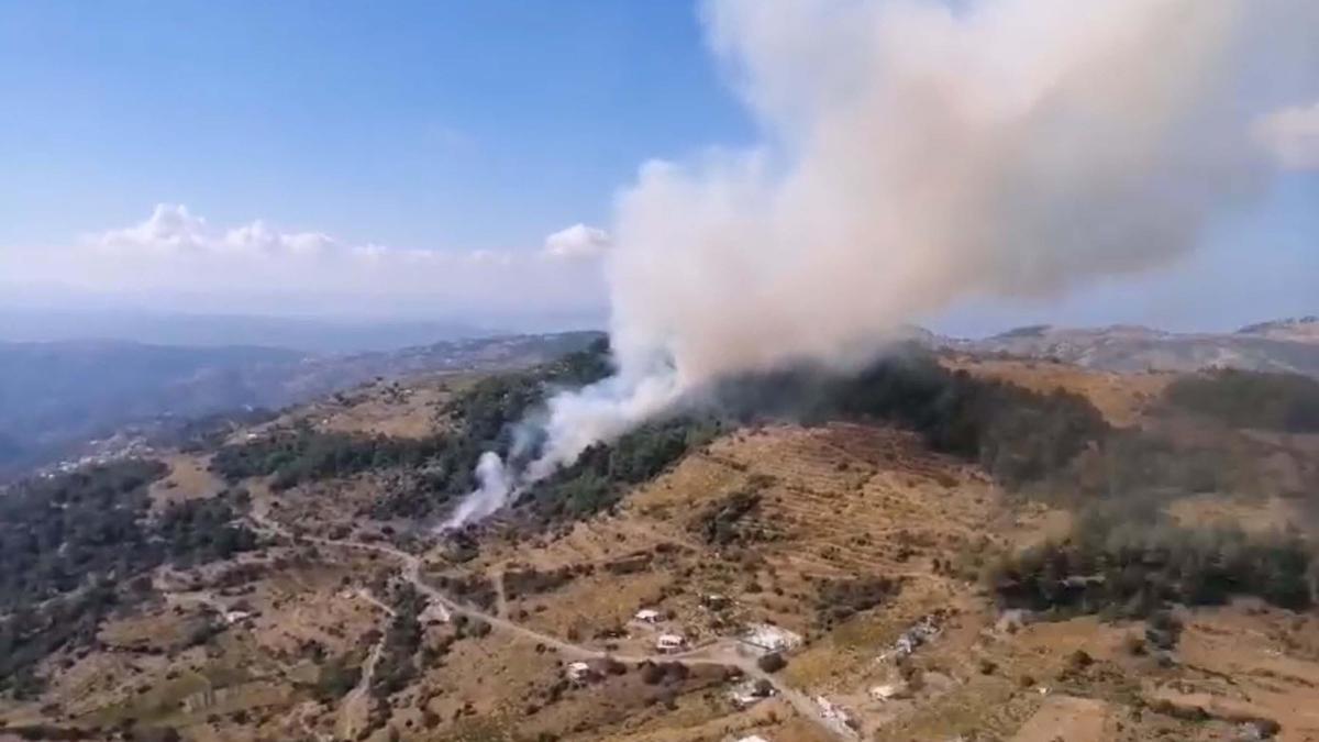 İzmir'deki orman yangını kontrol altında