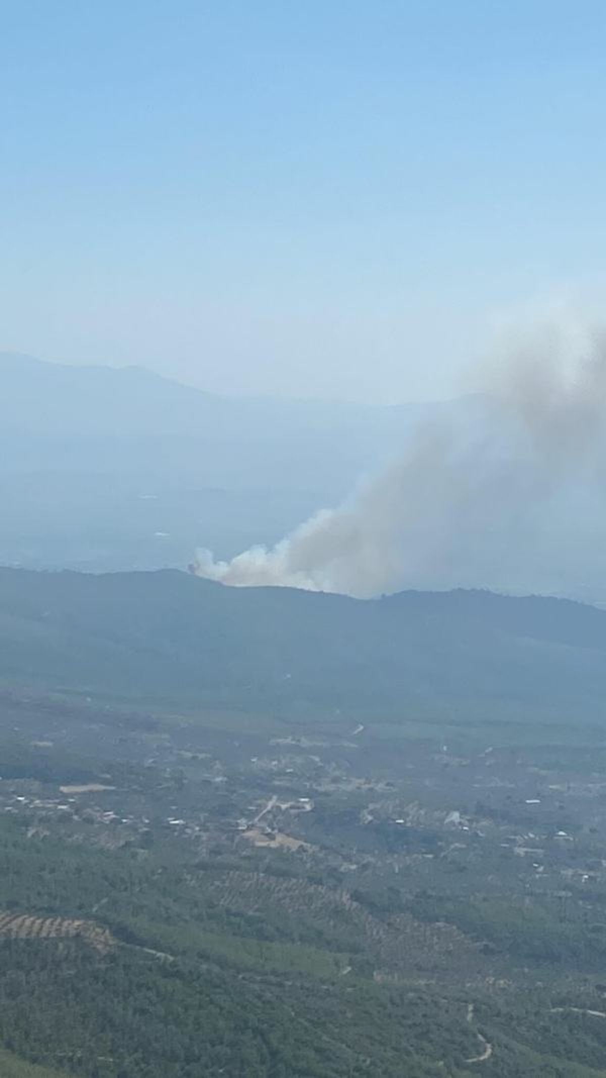 İzmir'in Bayındır ilçesinde ormanda yangın çıktı