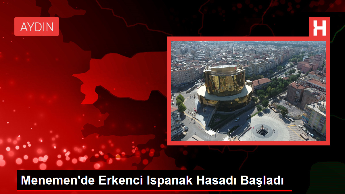 Menemen'de Erkenci Ispanak Hasadı Başladı