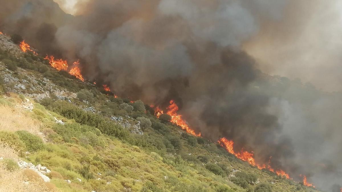 Muğla Seydikemer'de makilik yangını