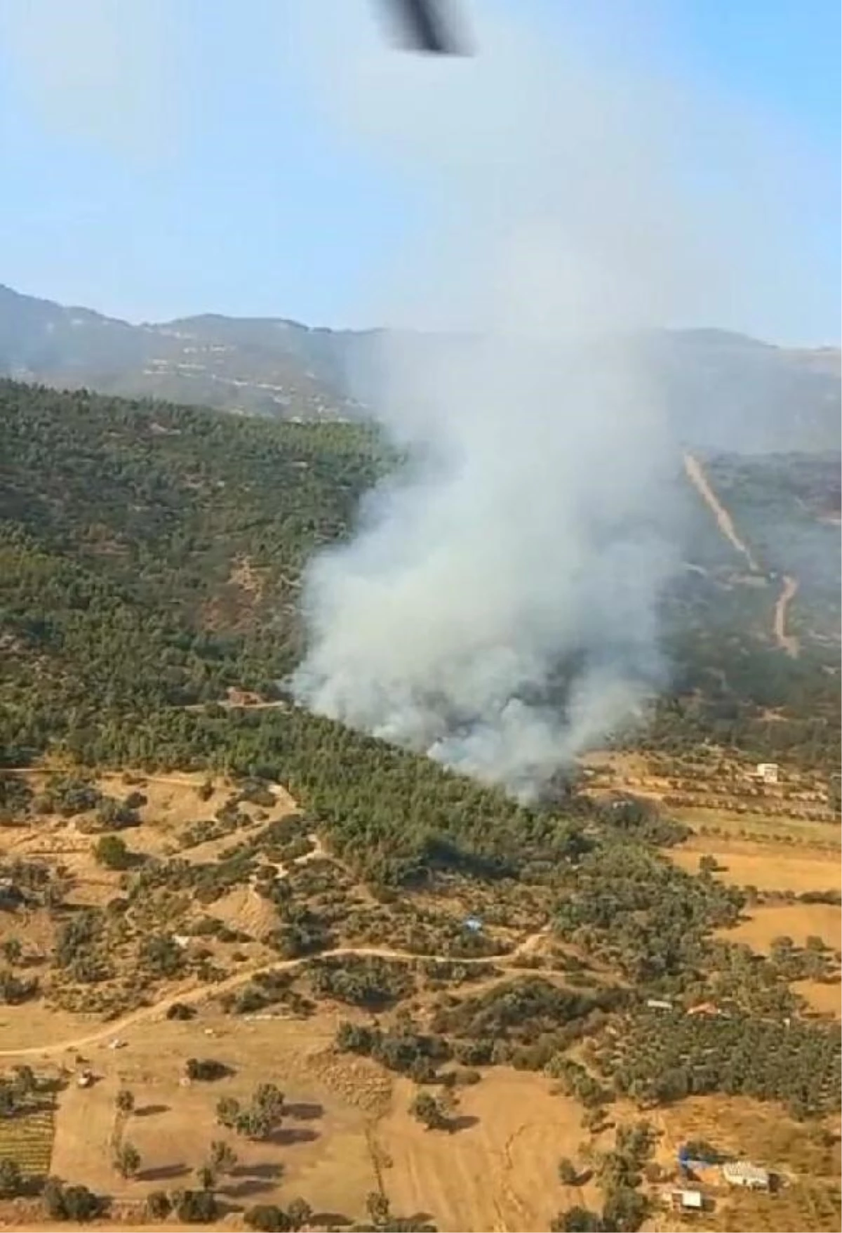 Ödemiş'te Orman Yangını: Havadan ve Karadan Müdahale Ediliyor