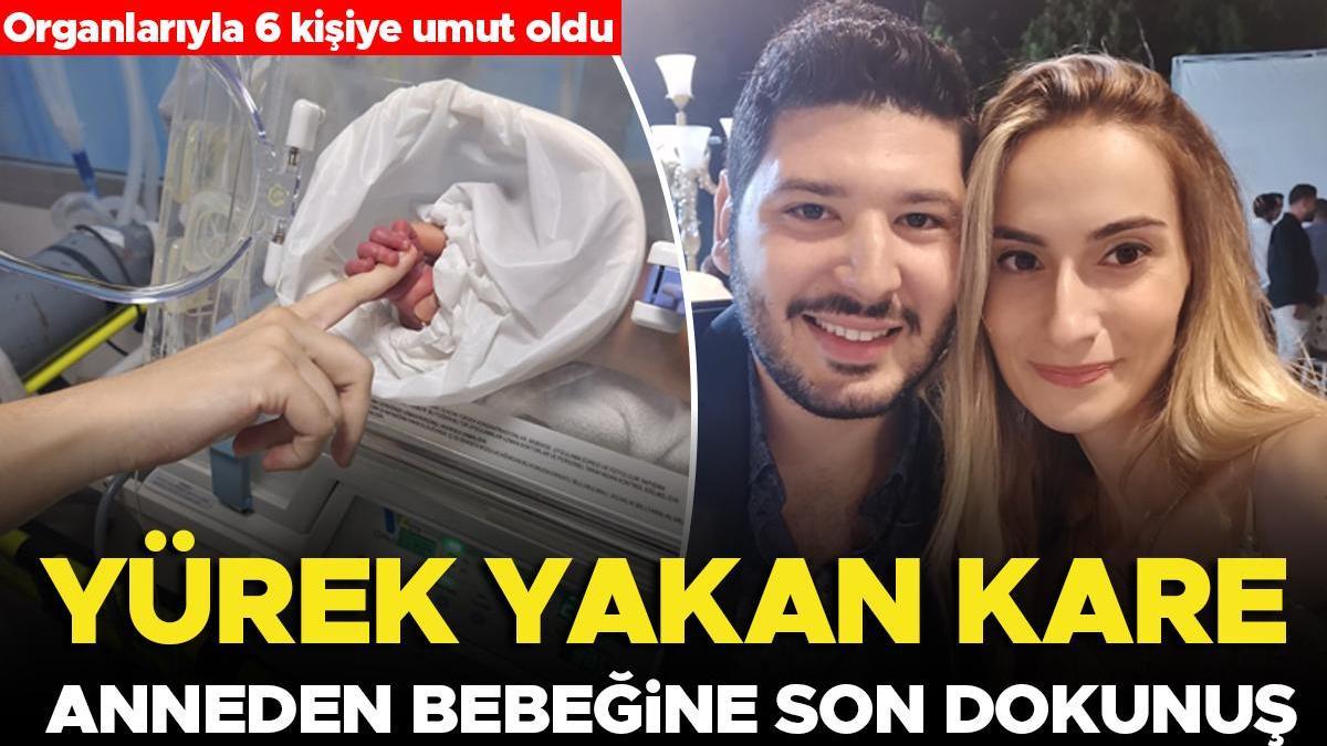 Organlarıyla 6 kişiye umut oldu... Özlem Serbes'ten geriye bebeğinin eline dokunduğu fotoğraf kaldı