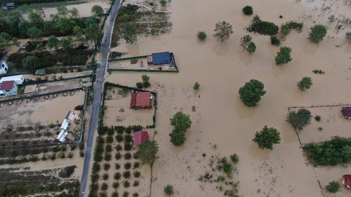 Şile'de dere taştı: Tarım arazileri ve bungalovlar su altında kaldı