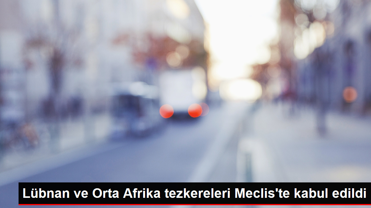 Türk askerinin Lübnan ve Orta Afrika'daki görev süresi uzatıldı