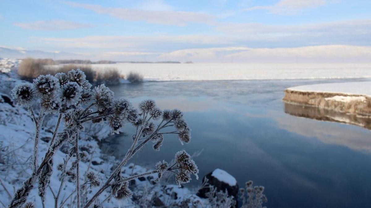 Ardahan'da Kuru Nehri'nin yüzeyi buz tuttu