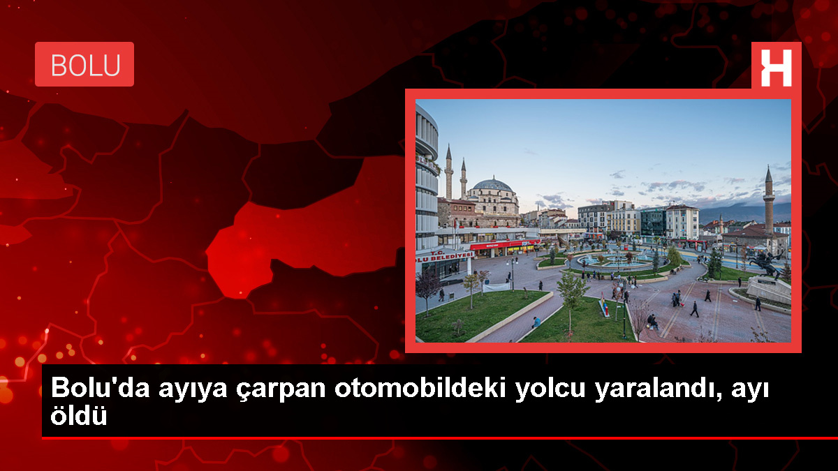 Bolu'da Ayıya Çarpan Otomobilde 1 Kişi Yaralandı