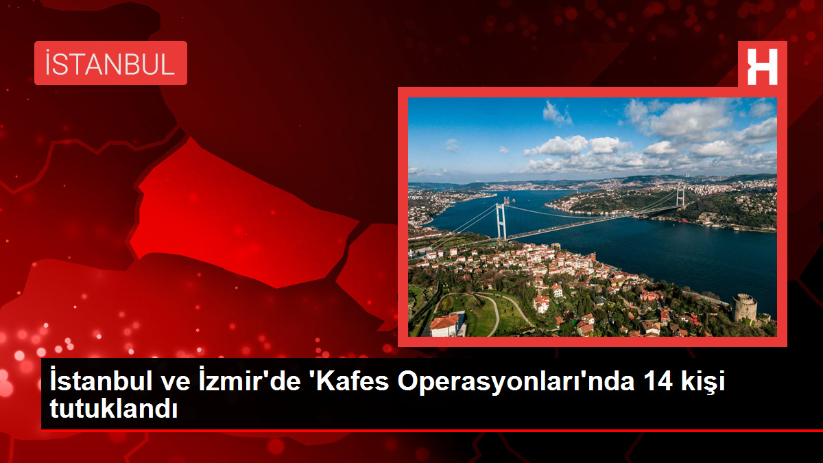 İstanbul ve İzmir'de 'Kafes Operasyonları'nda 14 kişi tutuklandı