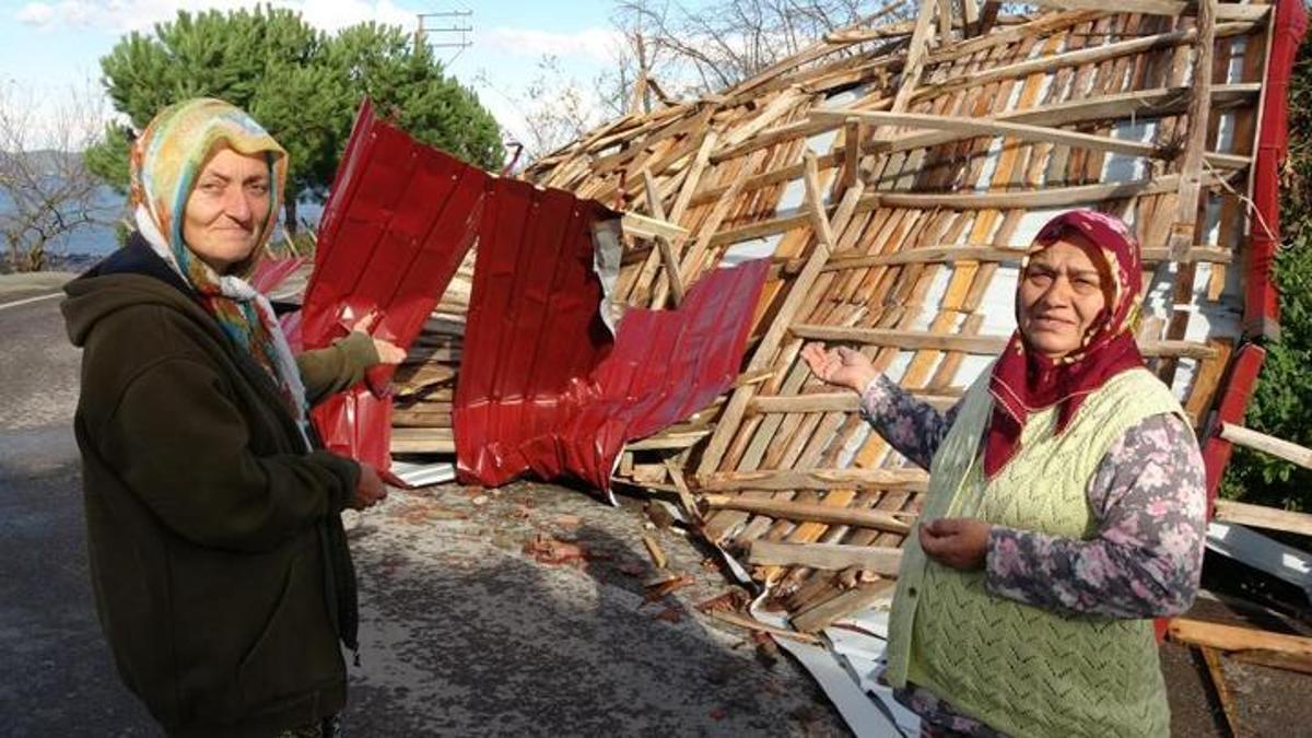 Ordu’da şiddetli fırtına çatıyı uçurdu! 'Deprem oluyor sandık'