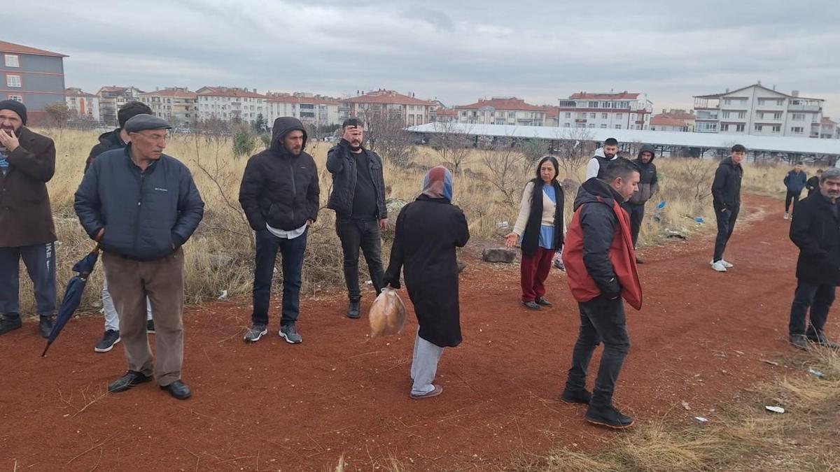 Ankara'da korkunç olay! Sokak köpeklerinin saldırdığı çocuk ağır yaralı