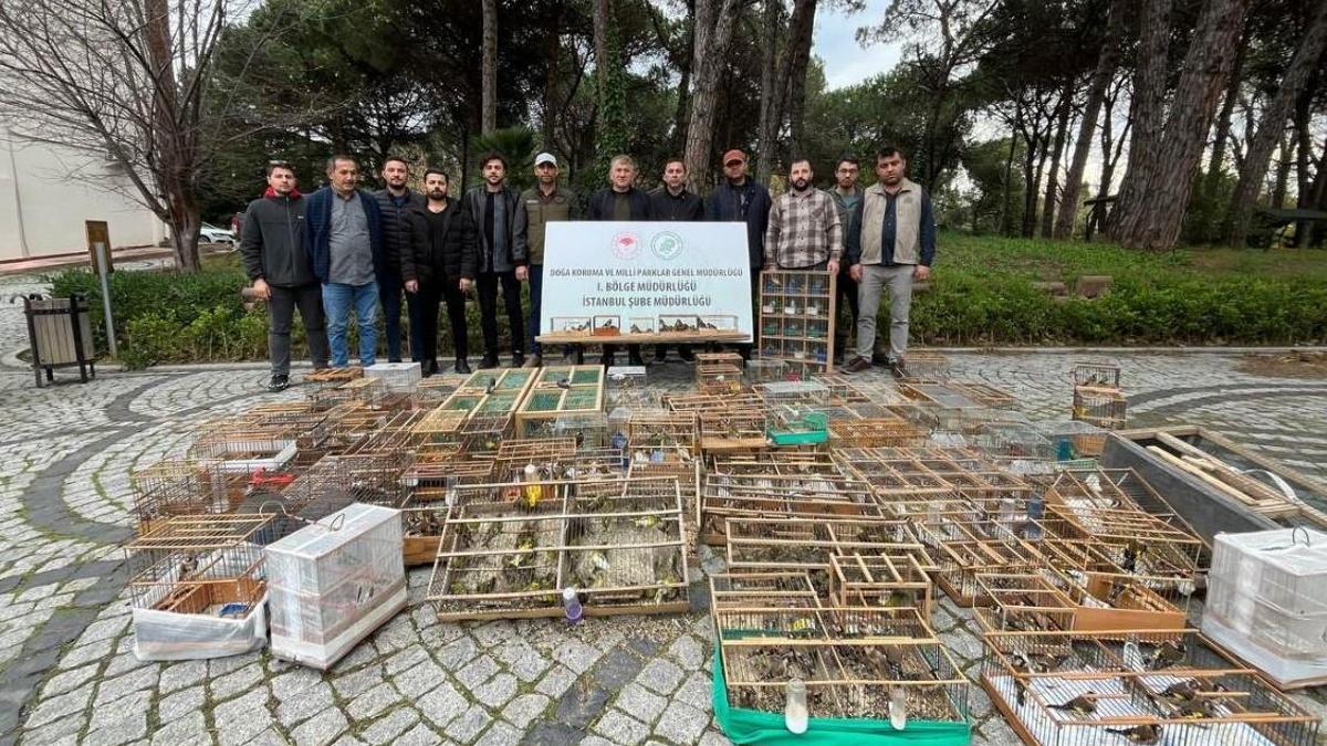 Avlanması yasak kuşlara el konuldu... Kuşları satmaya çalışanlara ceza yağdı