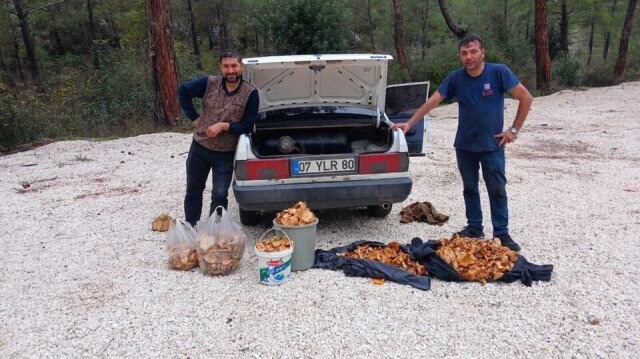 Bir günde 100 kilogram topladılar: Görenler gözlerine inanamadı | Aktüel Haberleri