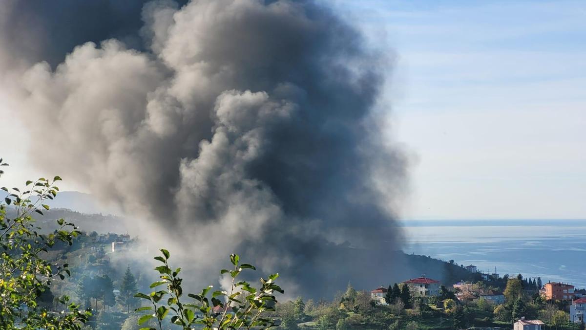 Giresun’da fabrikada yangın