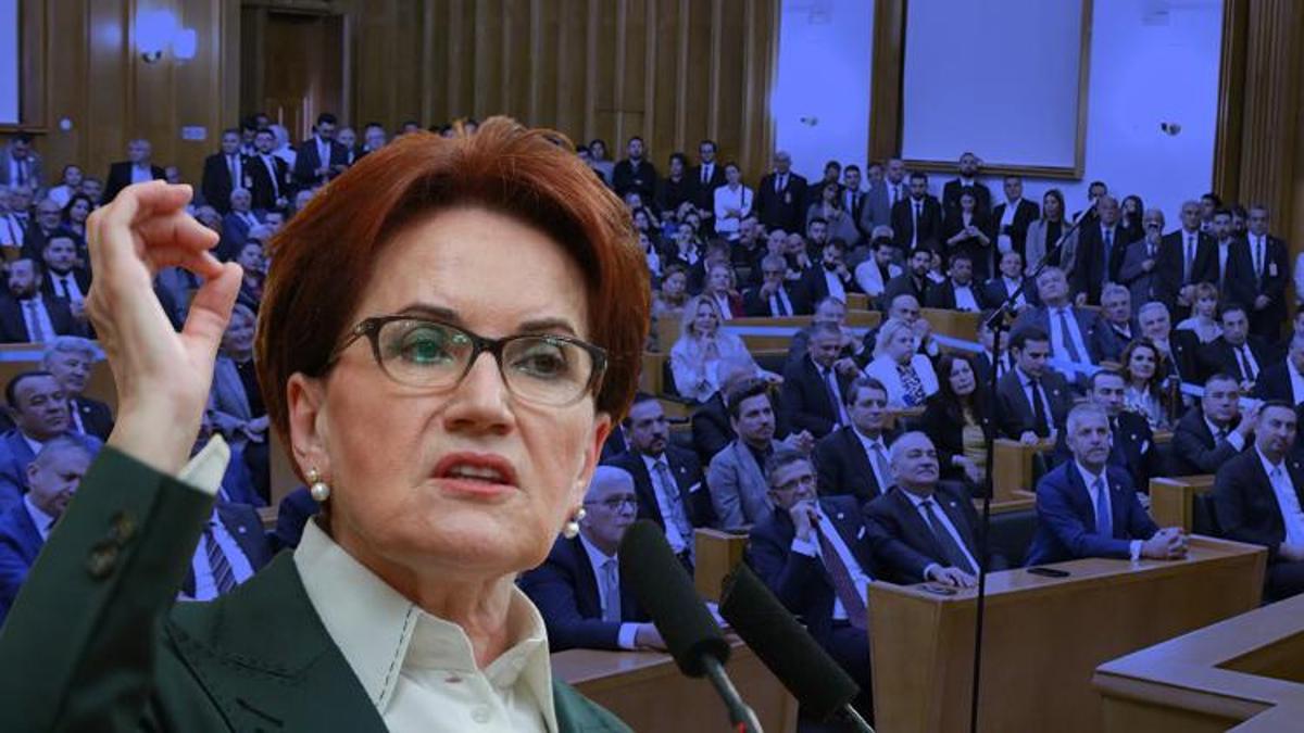 Meral Akşener: Hür ve müstakil olarak dimdik yürüyeceğiz