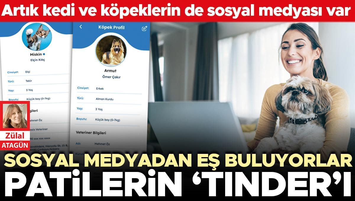 Patilerin ‘Tinder’ı! Sosyal medyadan eş buluyorlar