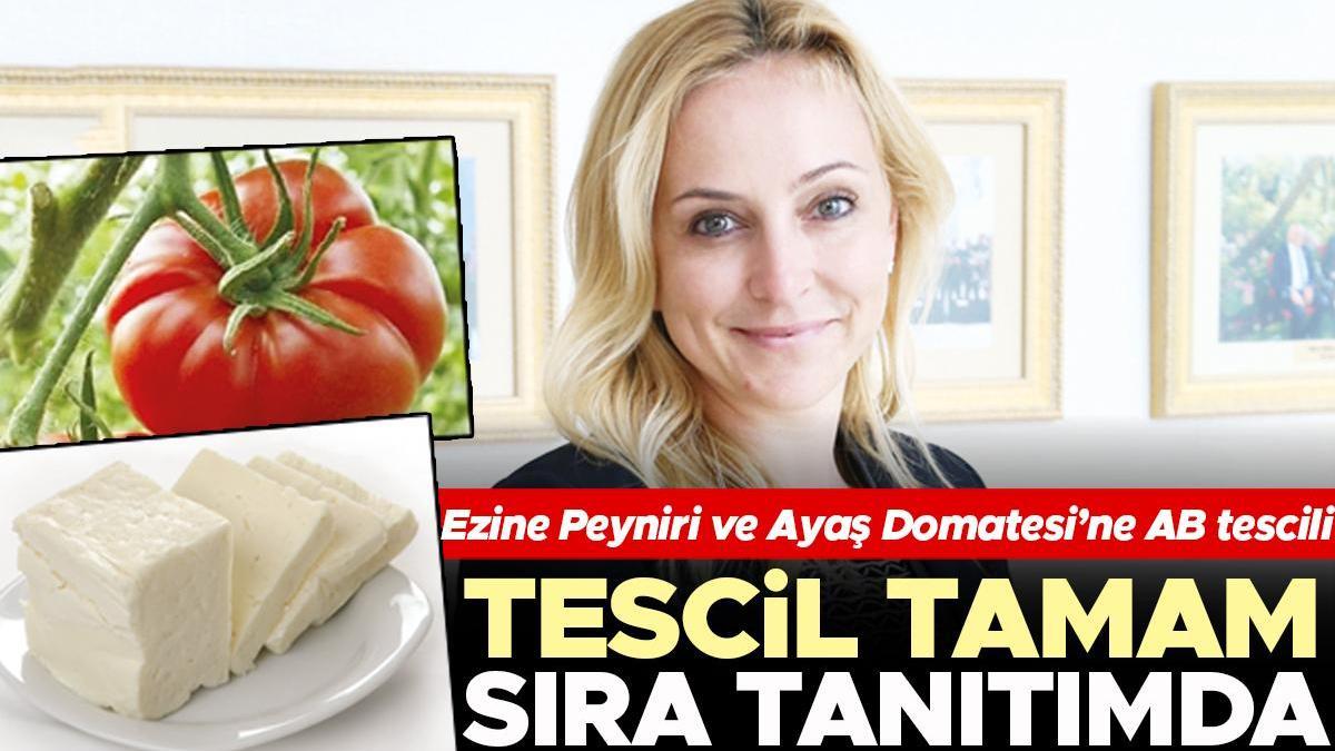 Tescil tamam sıra tanıtımda... Ezine Peyniri ve Ayaş Domatesi’ne AB tescili