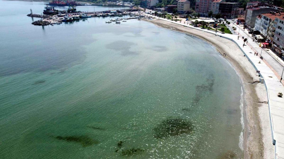 Uzman isimden Marmara Denizi açıklaması: Su sıcaklığı 50 yılda 2,5 derece arttı