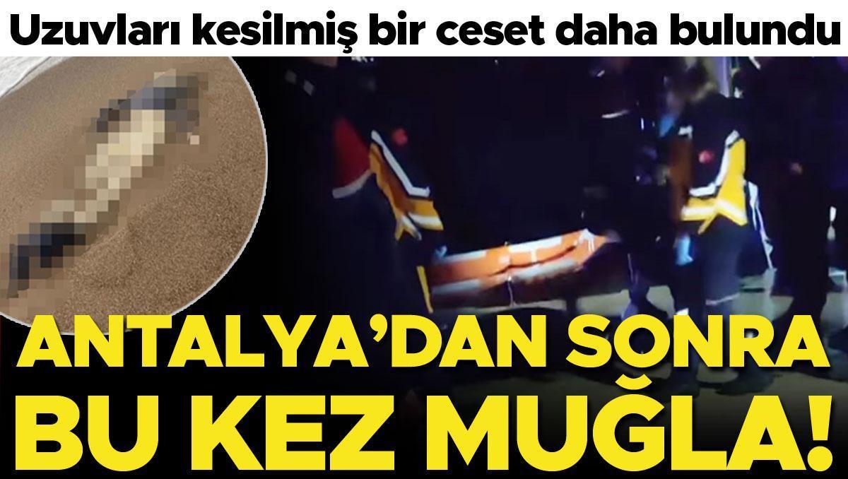 Antalya'dan sonra bu kez Muğla! Uzuvları kesilmiş cansız bedenler bulundu! Ceset sayısı 9'a çıktı