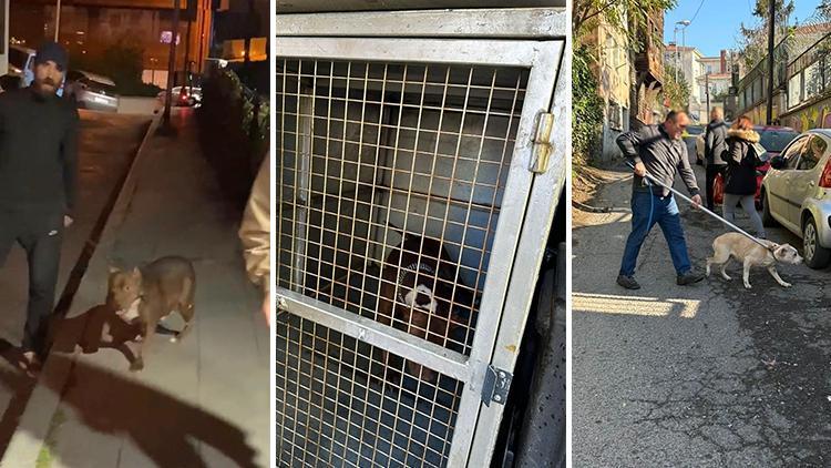 Beyoğlu'nda tartıştığı kişiyi köpeği ile korkuttu