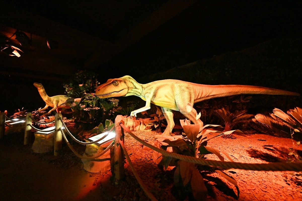 Brüksel'deki Dinozor Sergisi Ziyaretçi Akınına Uğruyor