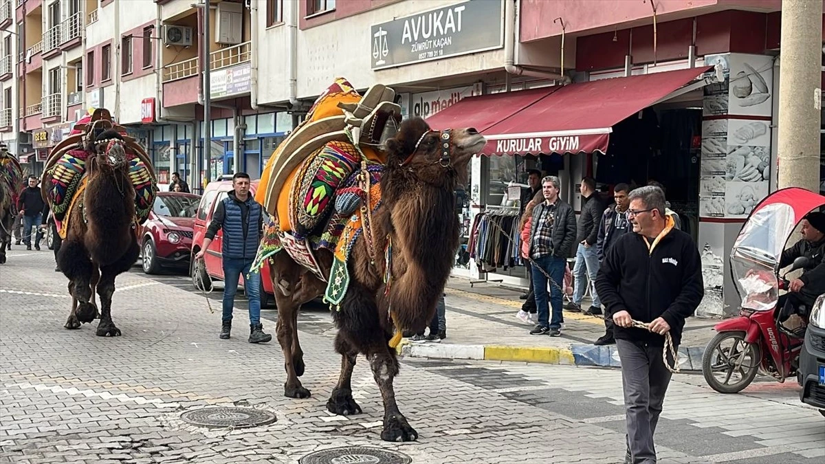 Çanakkale'de Deve Güreşi Öncesi Kortej Yürüyüşü Düzenlendi