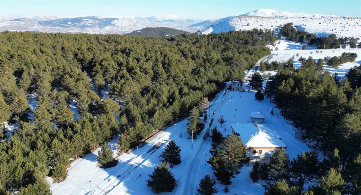 Erzincan'ın Refahiye ilçesindeki Dumanlı Tabiat Parkı, doğal güzelliğiyle turistlerin ilgisini çekiyor