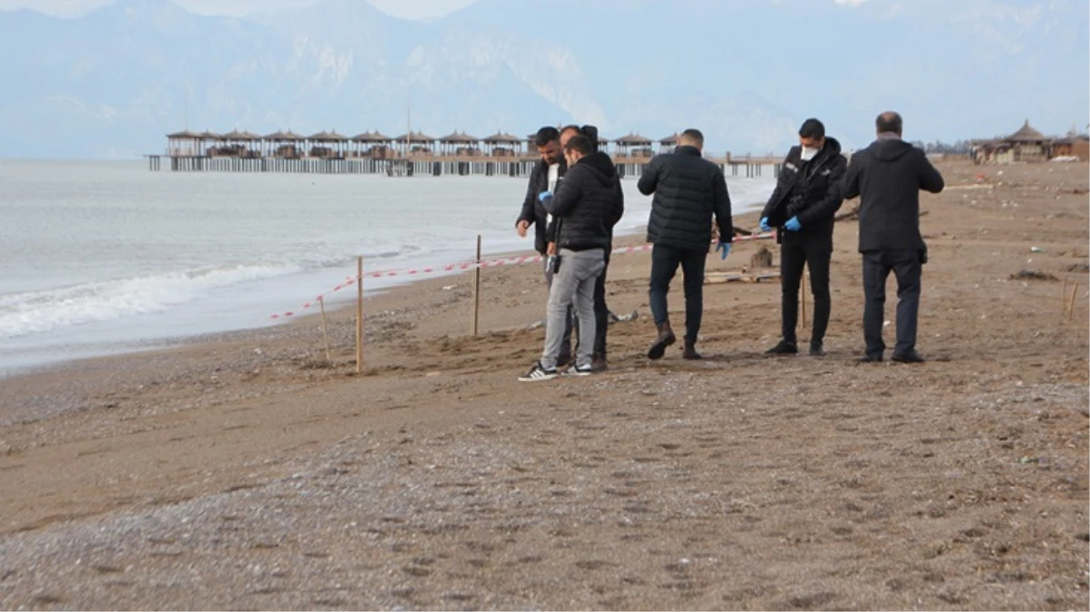 İçişleri Bakanı Yerlikaya'dan Antalya ve Muğla'da kıyıya vuran cesetlere ilişkin açıklama