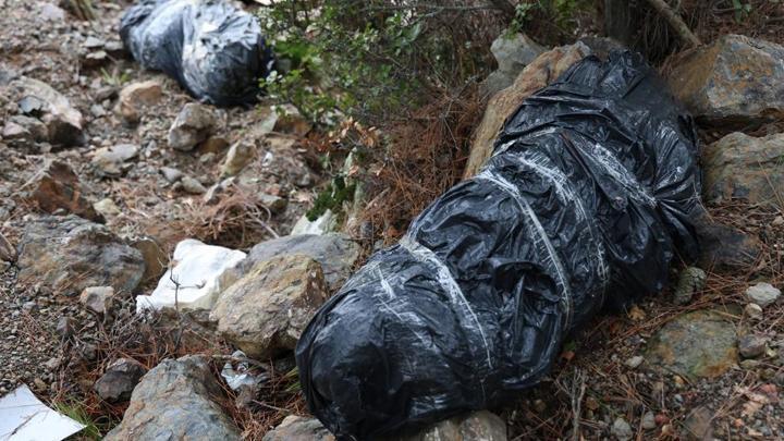 İzmir'de korkunç olay! Çöp poşetlerinin içinde 2 köpek ölü bulundu