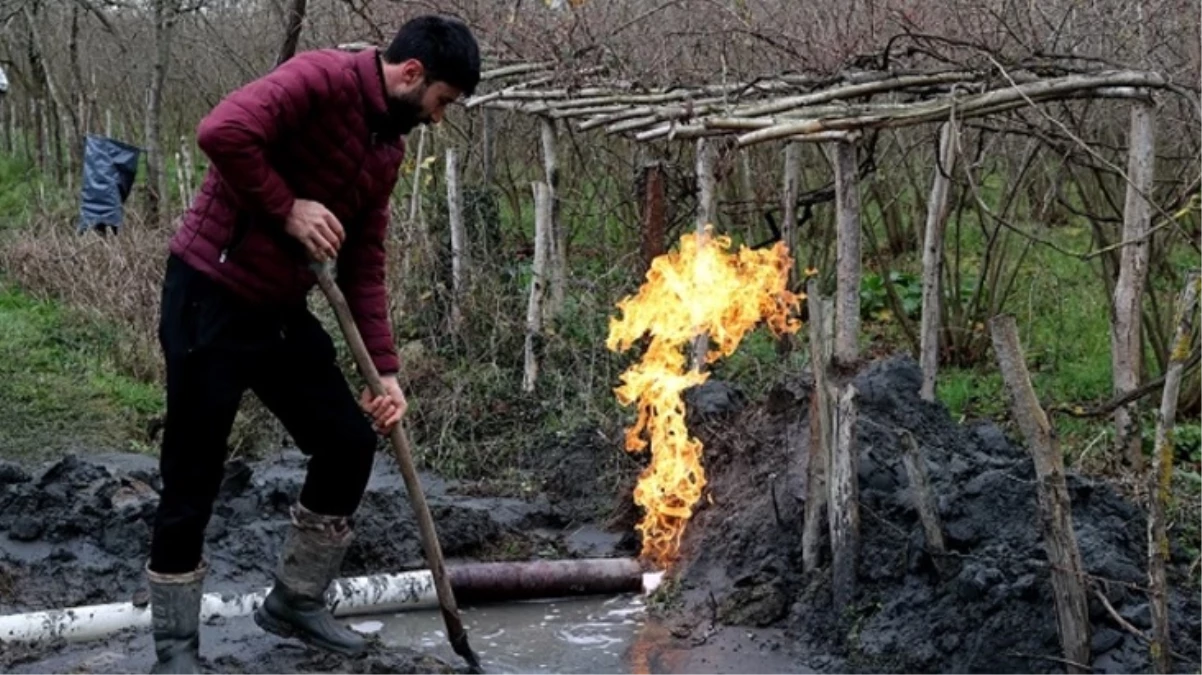 Samsun'da fındık ve çeltik tarlalarında yapılan sondajda yanıcı gaz çıktı