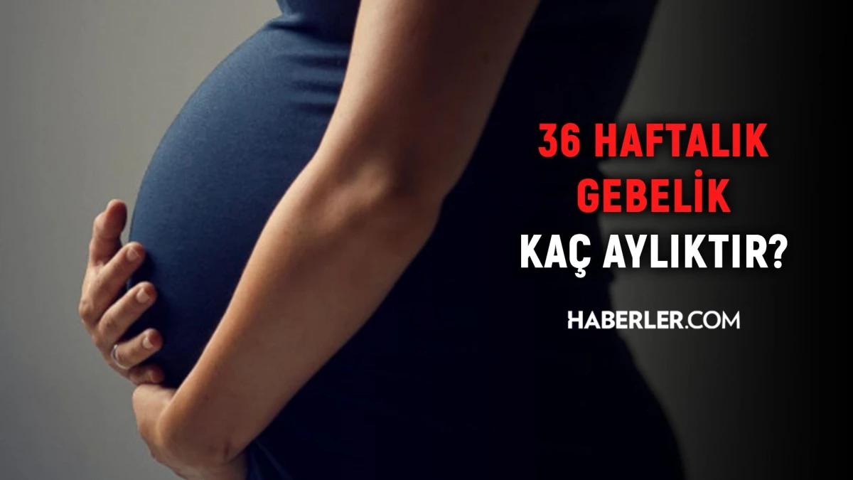 36 haftalık gebelik kaç aylık oluyor? Hamilelikte doğru bilinen yanlışlar!