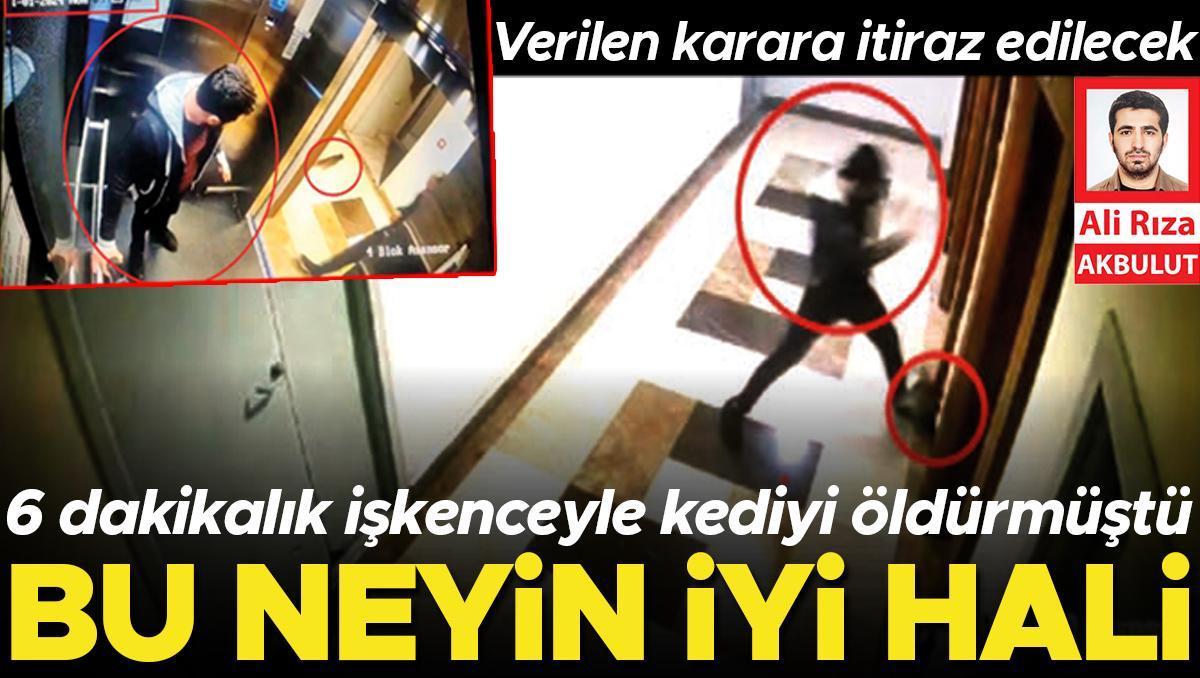 Bu neyin iyi hali... 6 dakikalık işkenceyle kediyi öldürmüştü