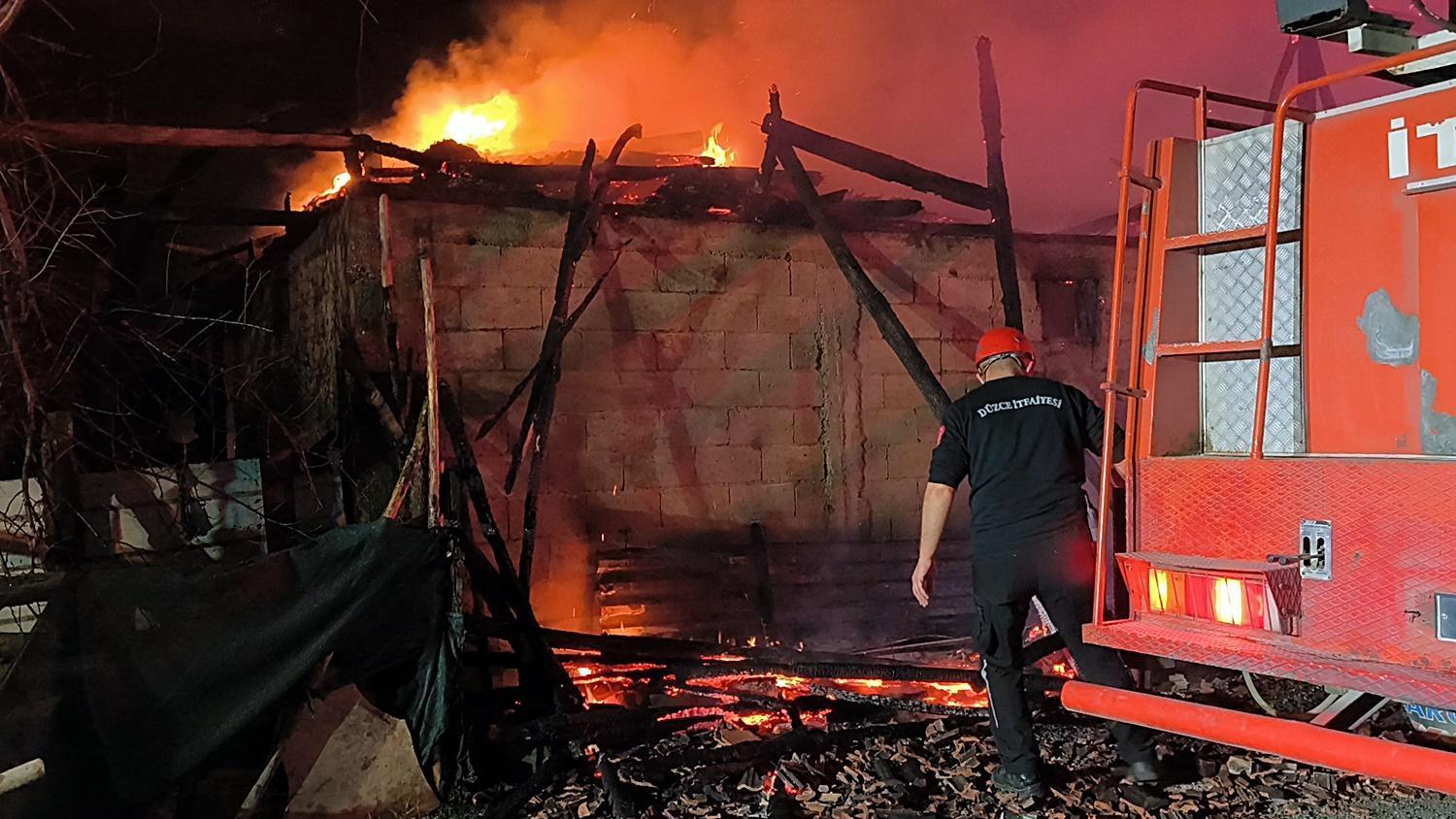 Düzce'deki yangında dört büyükbaş öldü