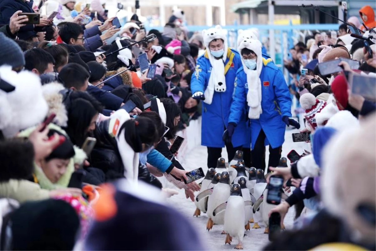 Harbin Bahar Bayramı Tatilinde Ziyaretçi Sayısı Arttı