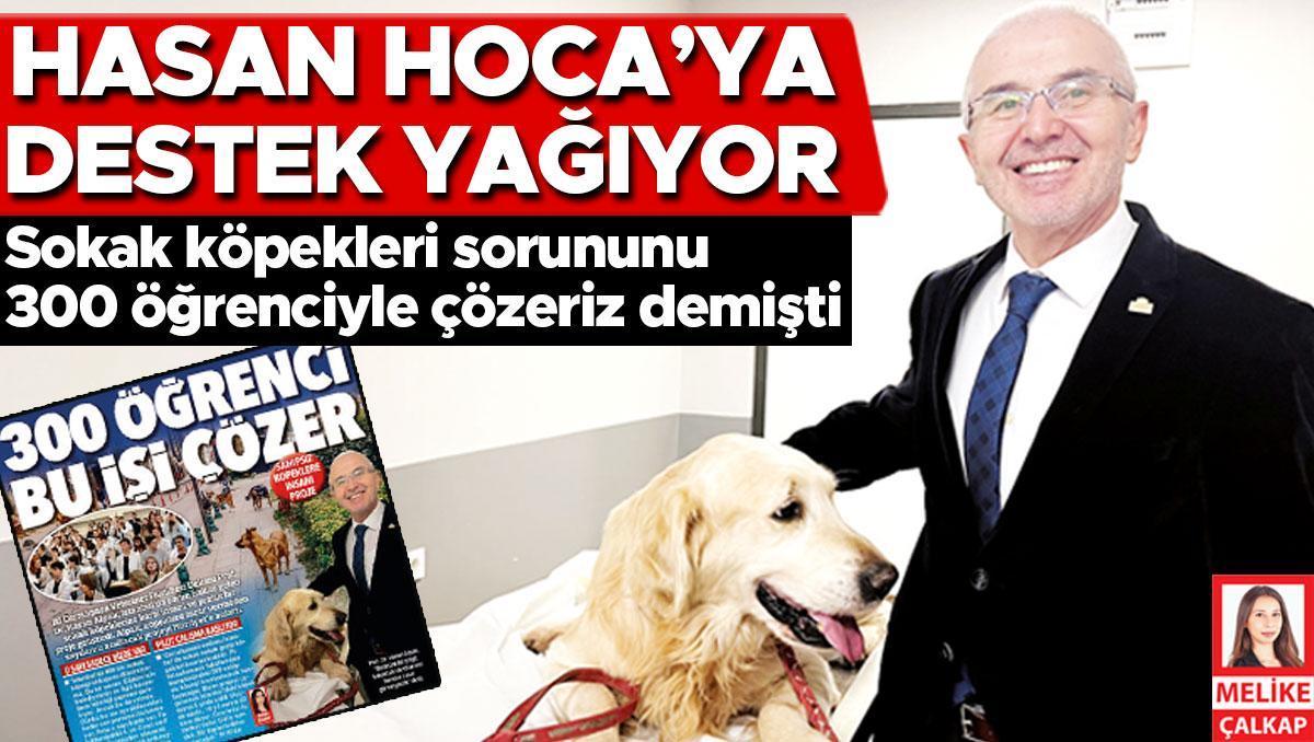 Hasan Hoca umut oldu... Sokak köpekleri sorununu 300 öğrenciyle çözeriz demişti