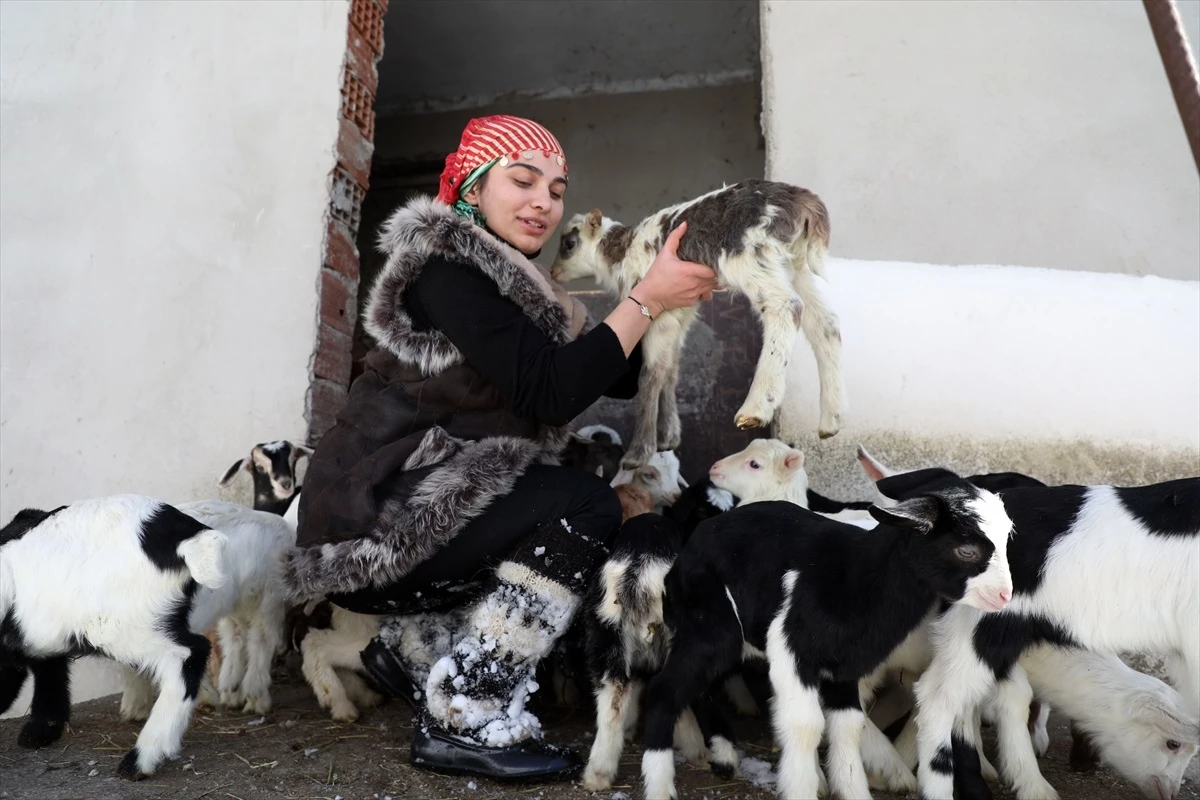 Rizeli Heidi: Keçi ve Yavrusunu Sırtında Taşıyan Genç Kız