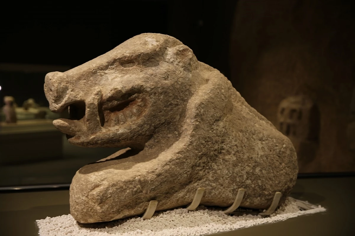 Şanlıurfa Arkeoloji Müzesi'nde Neolitik Döneme Ait 81 Eser İlk Kez Sergilenecek