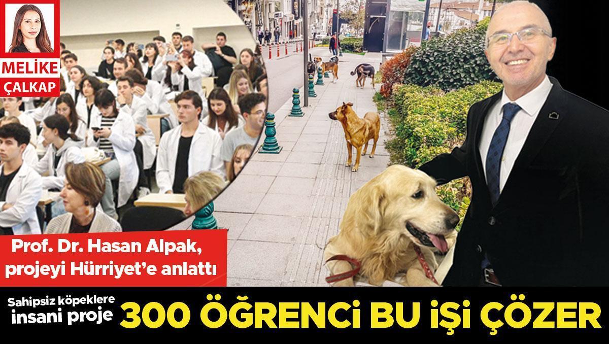 Sokak köpeklerine veteriner fakültesi’nden öneri: 300 kişiyle beş yılda çözeriz