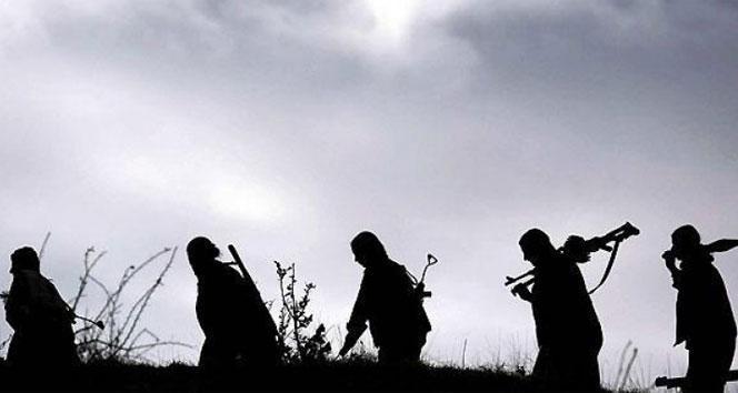 Son dakika... MSB duyurdu: 2 PKK’lı terörist teslim oldu