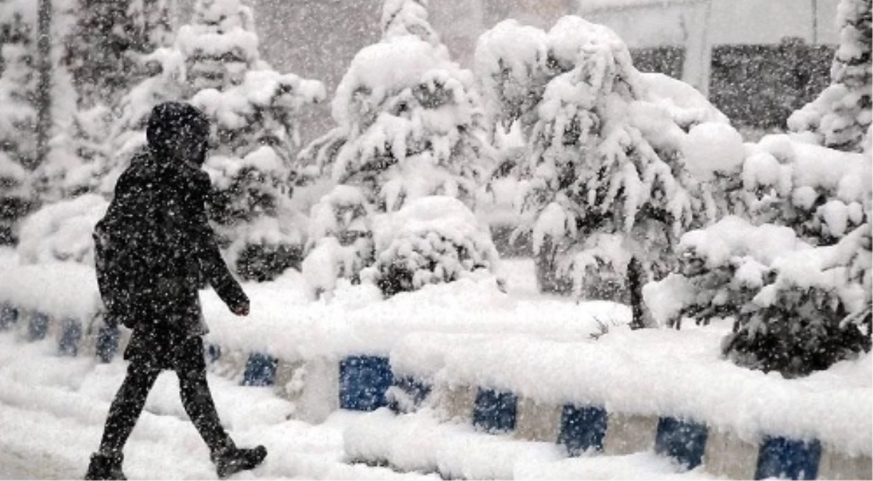 Tunceli yarın okullar tatil mi? 15 Şubat Perşembe Tunceli okullar yok mu?